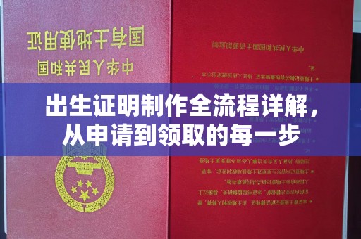 太原出生证明制作全流程详解，从申请到领取的每一步